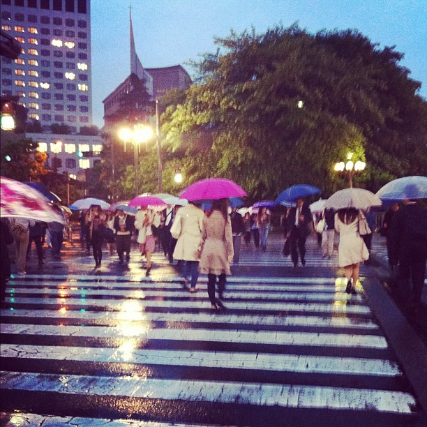 Aujourd’hui c’était Safari de rendez-vous pro. Ça tombe bien il pleuvait sur Tokyo ;)