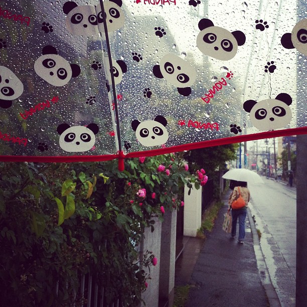 Tout le monde a le sourire quand on me croise… Effet Parapluie Panda ! ;)