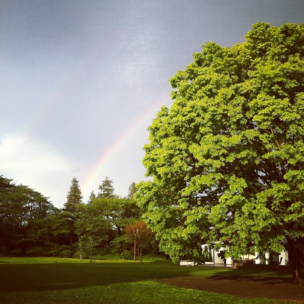 Double arc-en-ciel pour conclure la journée… Parfait !