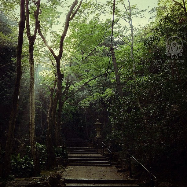 Le charme mystérieux de la nature à Hiroshima!