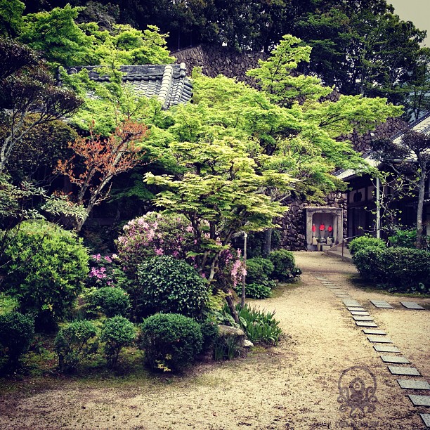 Une petit coin de zénitude sur Miyajima (￣ー￣)