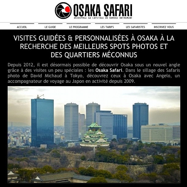 Découvrez le nouveau site officiel des Osaka Safari