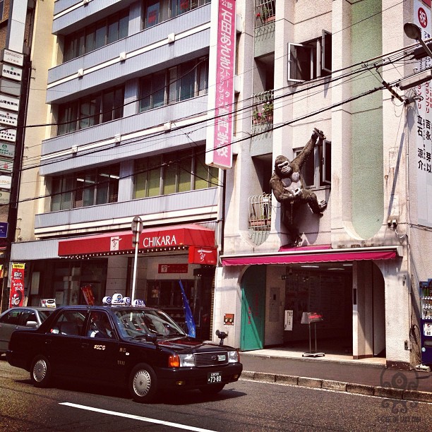 Donkey Kong irl à Hiroshima （・◇・）/~~~