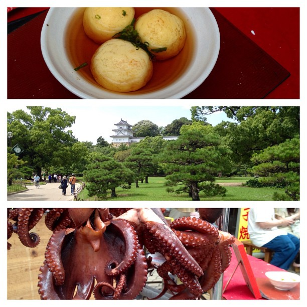 Balade dominicale à Akashi, ville du poulpe et des Akashi-Yaki !