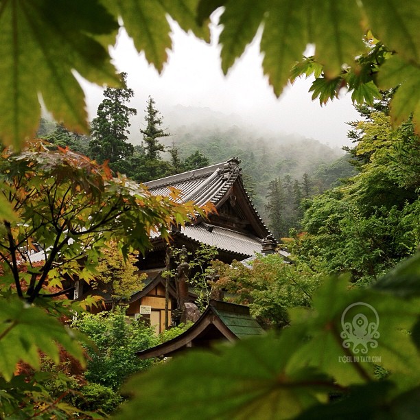 Même sous la pluie, je vous trouve l’angle qui embellit votre Hiroshima Safari ψ(｀∇´)ψ