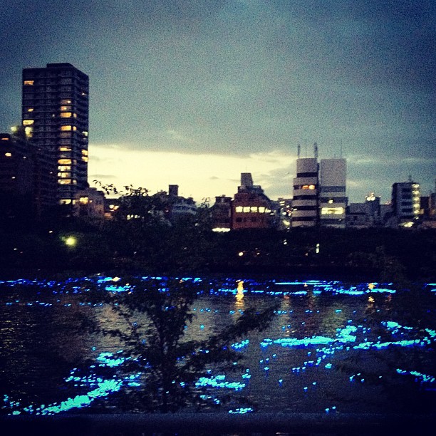 Tanabata en direct de Nakanoshima