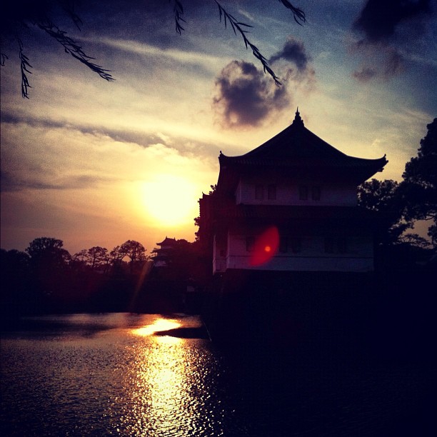 Ombre chinoise en plein Tokyo