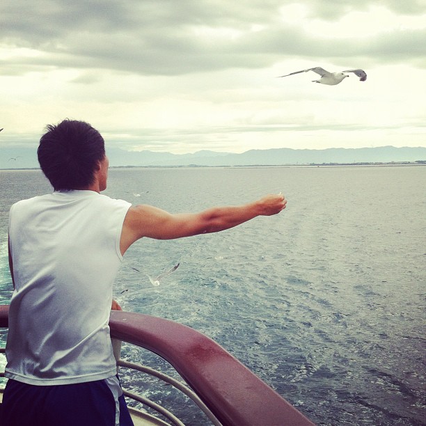 On s’occupe comme on peut sur le ferry en direction de l’île Sado