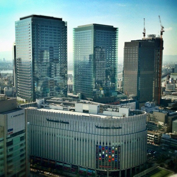 Ça pousse à Umeda !