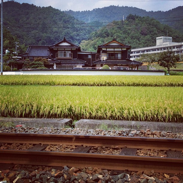 Ça vous plairait d’avoir une maison dans la campagne japonaise ?