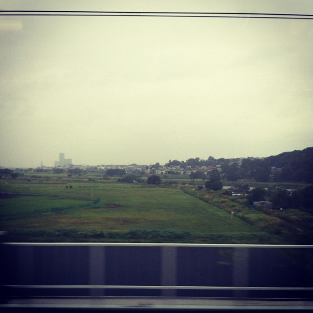 On est passé d’un ciel bleu à gris… Mais on dirait vraiment pas qu’un typhon approche… Quasiment pas de vent…