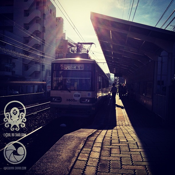 Aujourd’hui il fait beau et chaud ☀tout ce qu’il faut pour un Hiroshima Safari !