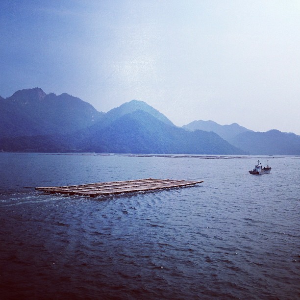 Mise en place d’un parc ostréicole autour de Miyajima.