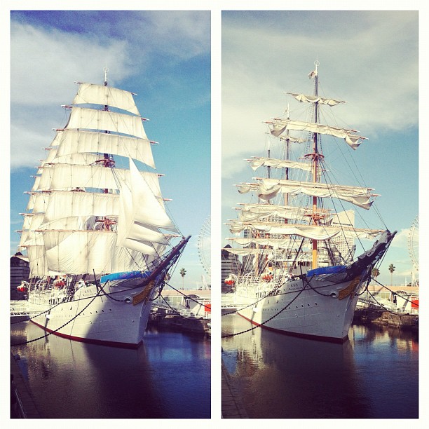 Nippon Maru aujourd’hui plein voiles ouvertes !