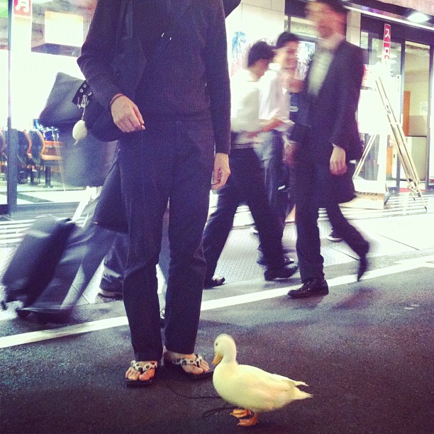 On croise de drôles de créatures à Akihabara !