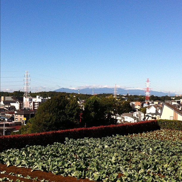 #fujireport : Comme toujours après un typhon, ça été le grand ménage dans le ciel ! Mais pas de Fuji en vue…