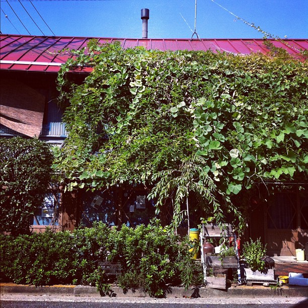 Vous restez 1 mois au Japon, vous pouvez rester dans cette vielle maison de 100 ans pour 28000yens/mois