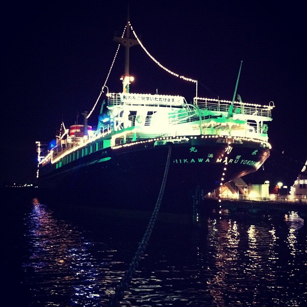 Hikawa Maru by Night