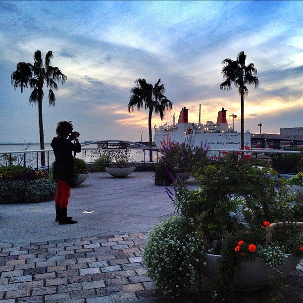 Dans la baie d’Osaka, un photographe en face du soleil couchant