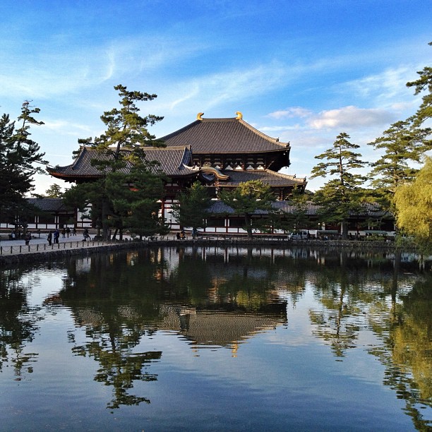 Safari du jour à Nara