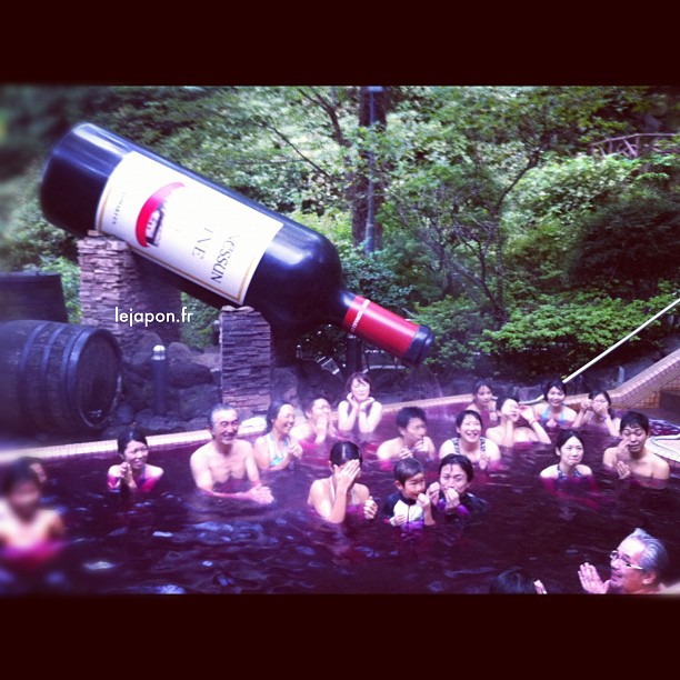 Quand on est français on ne va pas dans n’importe quel Onsen à Hakone ;)