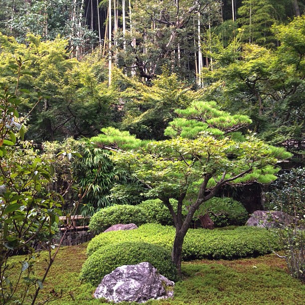 Quelque part à Kyoto