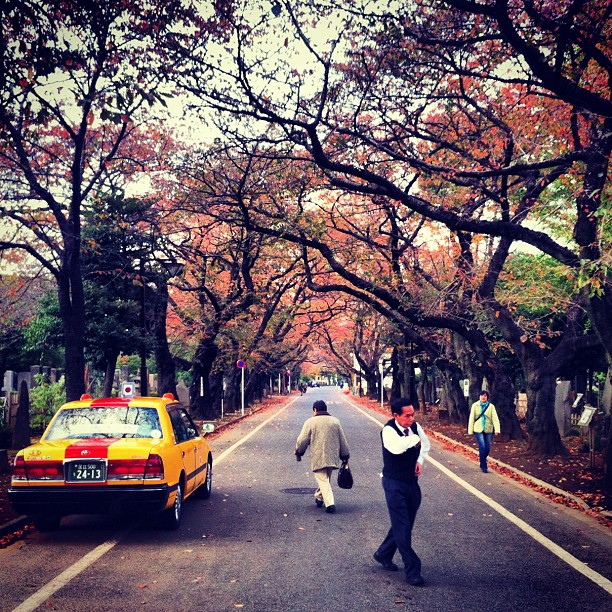 L’automne s’installe enfin sur Tokyo ! Et il fait froid…
