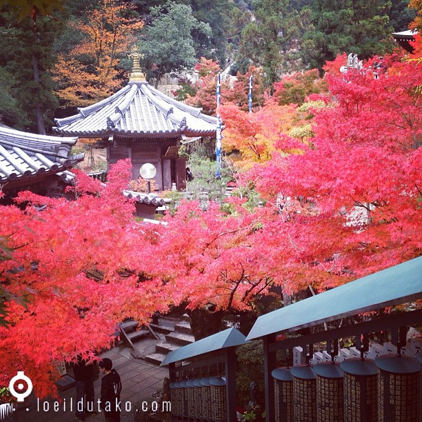 L’automne à Miyajima IV