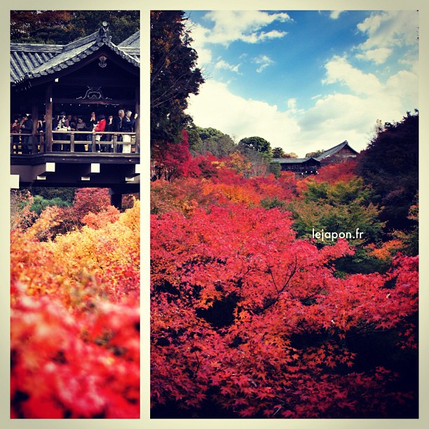 Tofukuji en pleine explosion de koyo !