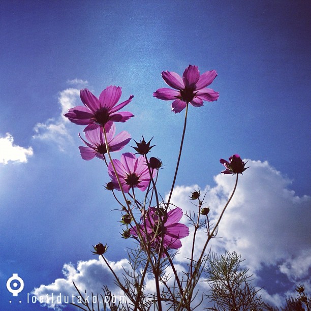 Un dimanche dans le cosmos. Et vous?