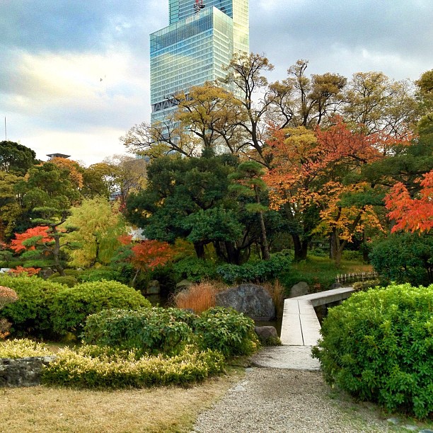 Jardin d’automne à Osaka
