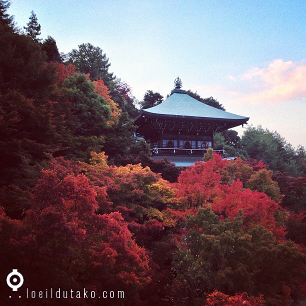 L’automne à Miyajima.