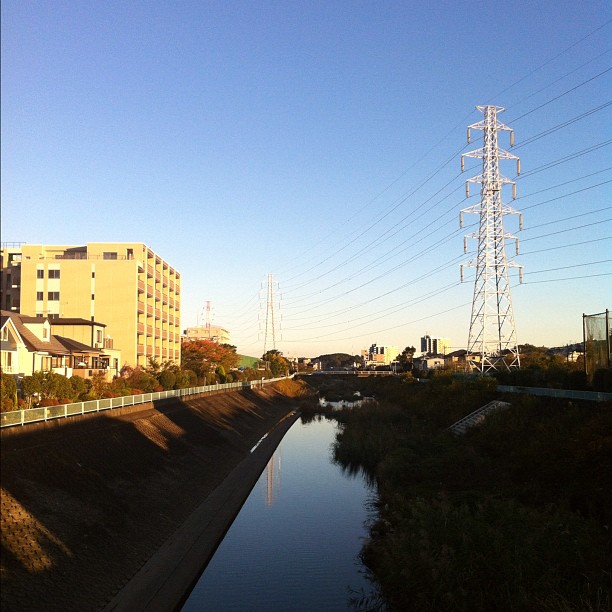 Le Japon bleu !