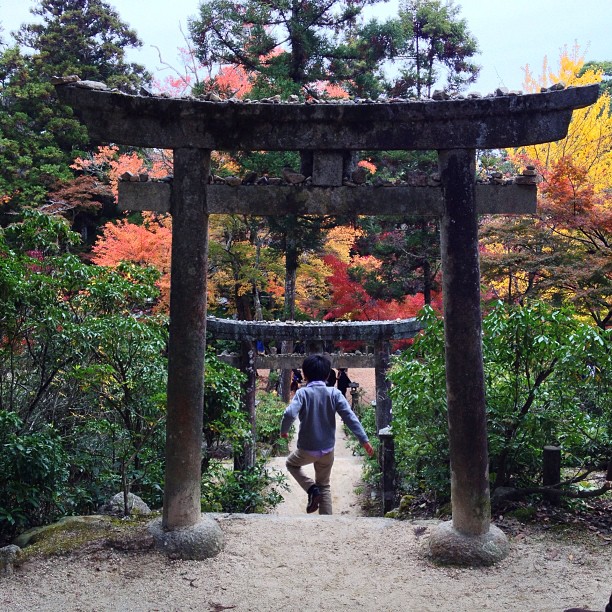 L’automne à Miyajima III