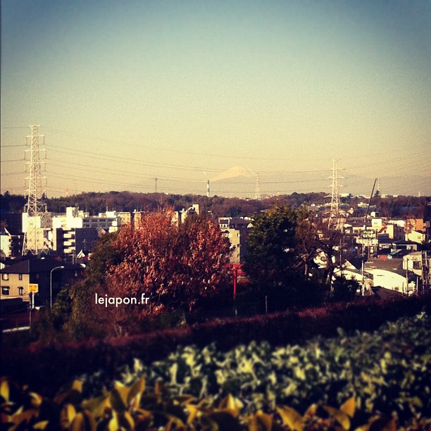 #fujireport : il a gelé cette nuit sur Tokyo/Yokohama le ciel est bien bleu et le Fuji visible. Bon Noël à tous !