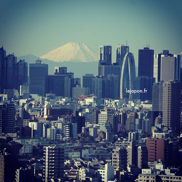 #fujireport : superbe visibilité sur le Fuji en fond du quartier de Shinjuku ce matin !