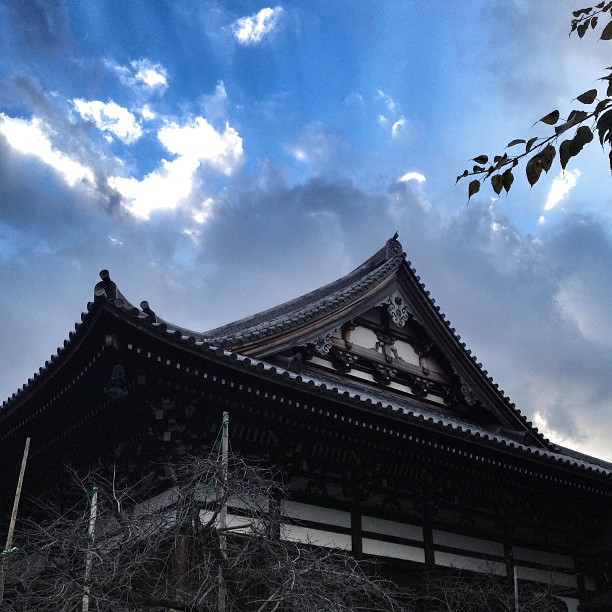 Courbes sous le ciel d’Osaka