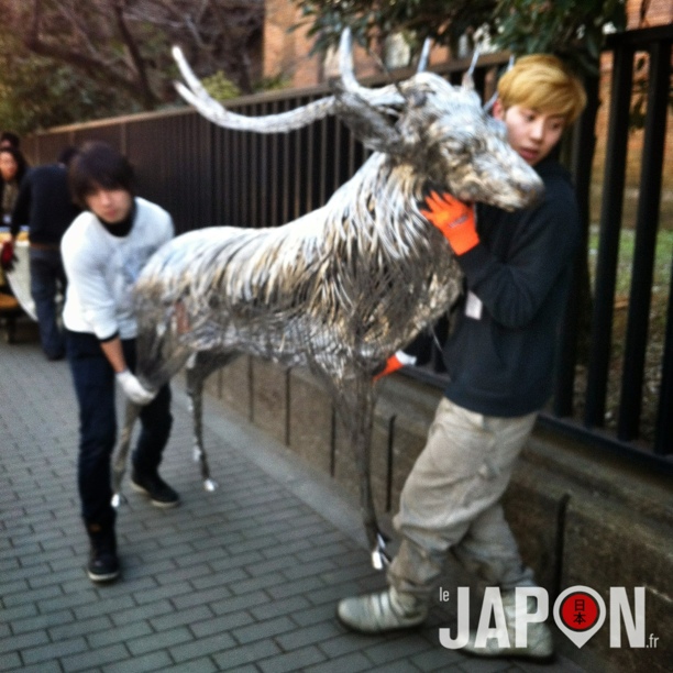 Comme à Nara et autre Miyajima, à Tokyo aussi on a des cerfs qui se baladent en ville !