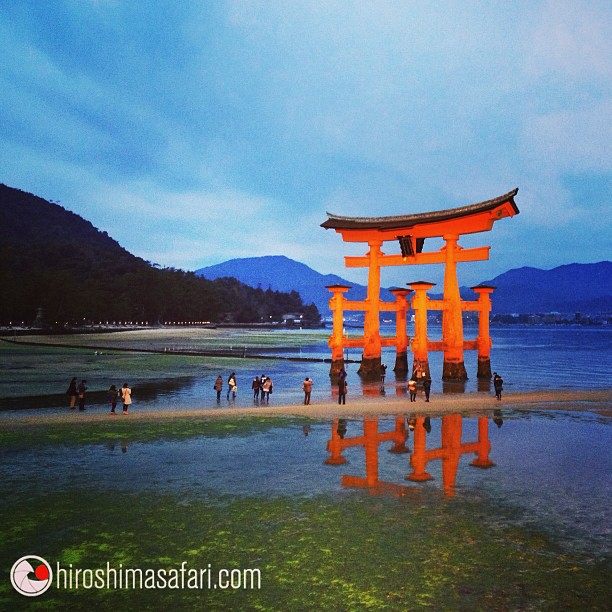 Belle lumière sur le Otorii aujourd’hui.