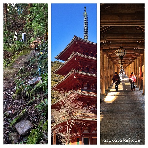 Journée dans les temples de la région d’Asuka