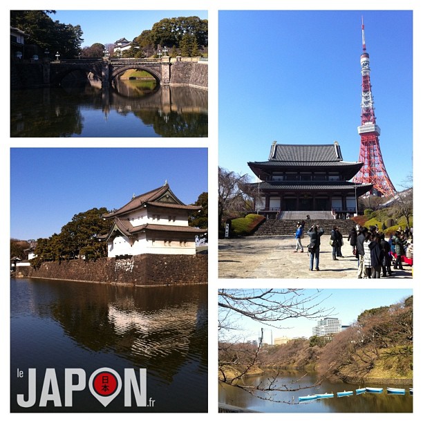 Vent fort et glacial sur Tokyo… Mais quel bleu !