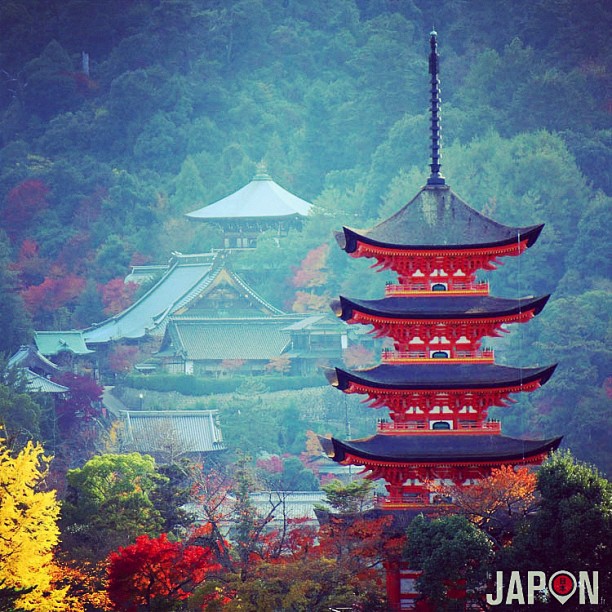 Mon post sur Miyajima est bientôt prêt pour le blog ;)