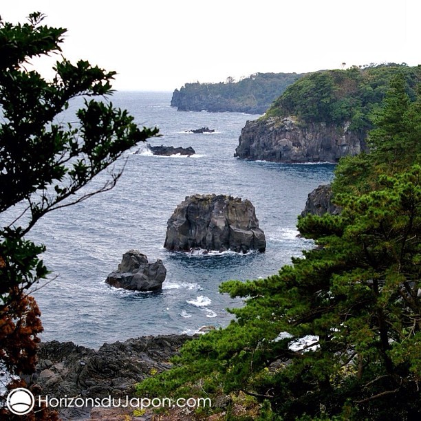 Le littoral escarpé de Jogasaki