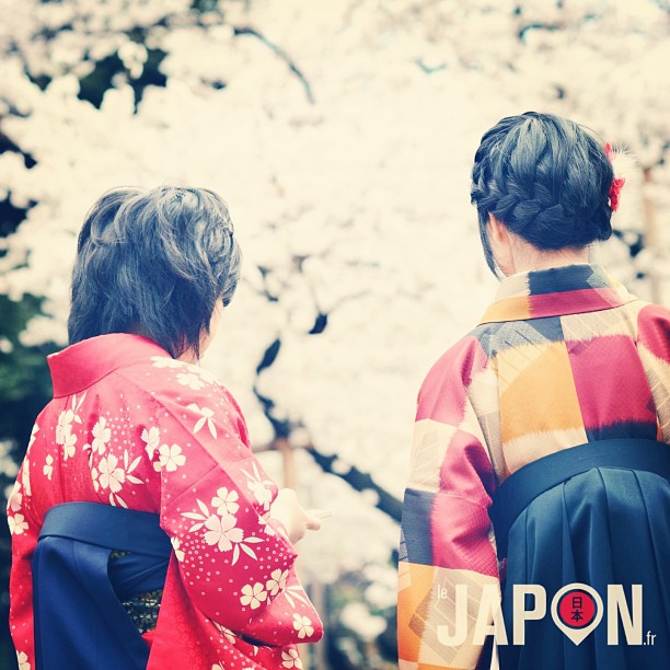 Megumi & Maiko chan admirent les Sakura en attendant leurs amies.