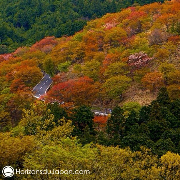Route d’automne à Yoshino