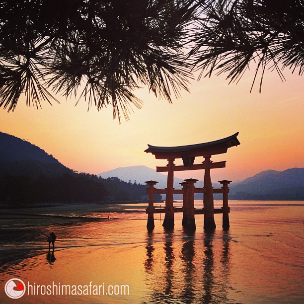 Plus de 150 fois sur Miyajima c’est moi :-)