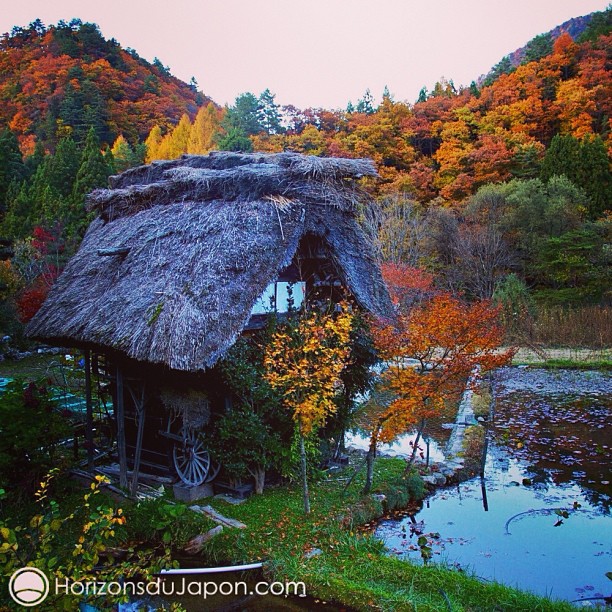 Une magnifique cabane au toit de chaume