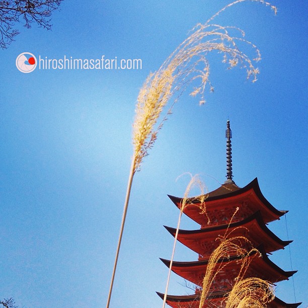 Ciel bleu sur Miyajima.