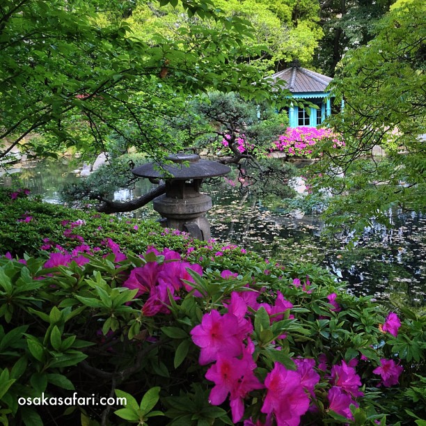 Jardin au cœur du temple Shi-Tennoji