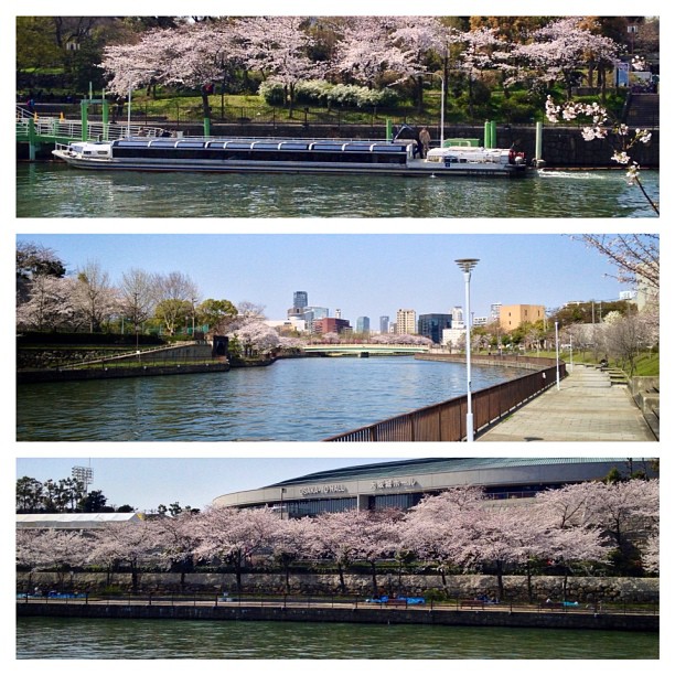 Sur les rives des canaux du parc du château d’Osaka